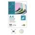 Liderpapel Papel Color 80 g 4 Colores (100 Uds.)