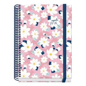 Dohe Agenda 25/26 Camomille