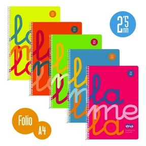 Lamela Cuaderno Polipropileno A4 (5 Uds. Surtidos)