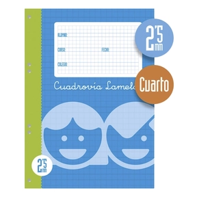 Lamela Recambio A5 100 Hojas