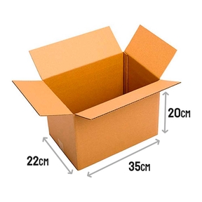 Caja de Cartón Americano (35x22x20cm) (N/2T)